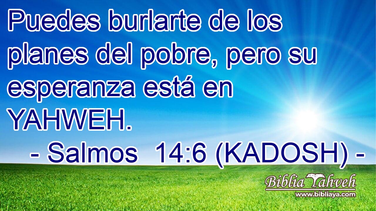  Puedes burlarte de los planes del pobre, pero su esperanza está en YAHWEH. 