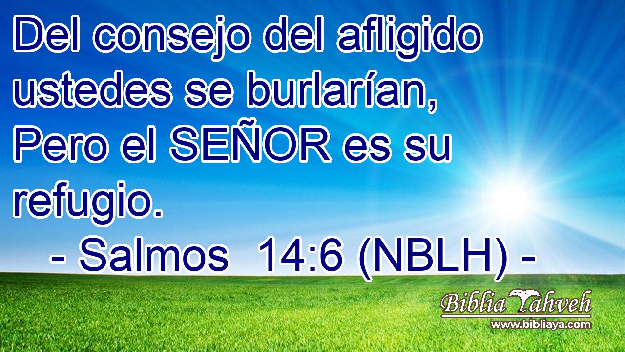  Del consejo del afligido ustedes se burlarían, Pero el SEÑOR es su refugio. 