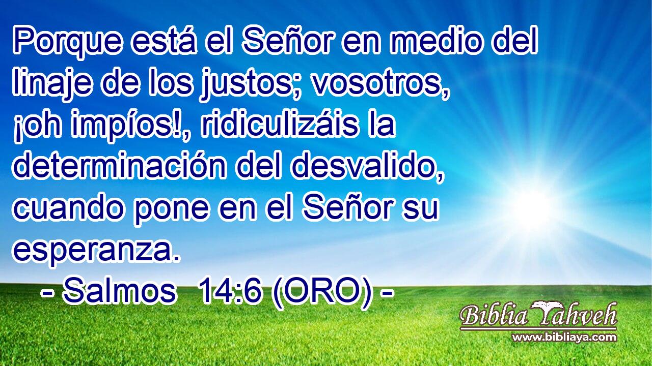 Porque está el Señor en medio del linaje de los justos; vosotros, ¡oh impíos!, ridiculizáis la determinación del desvalido, cuando pone en el Señor su esperanza. 