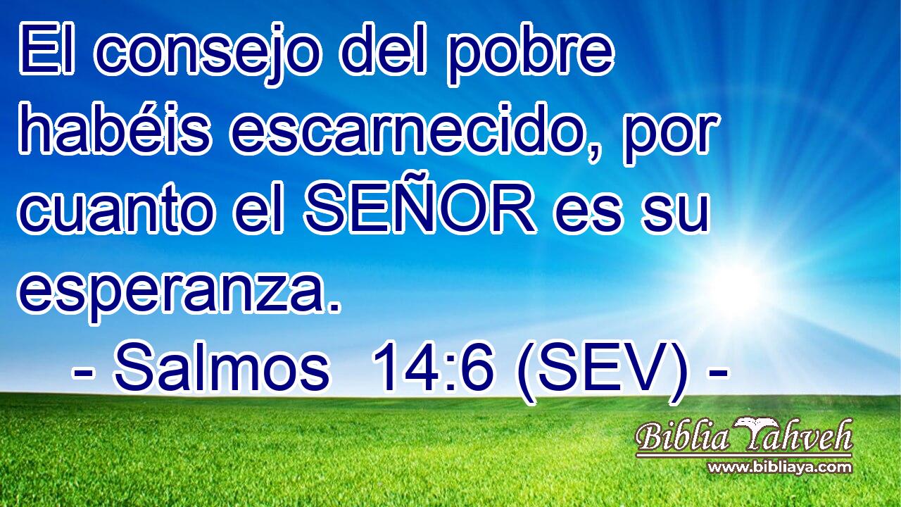 El consejo del pobre habéis escarnecido, por cuanto el SEÑOR es su esperanza.