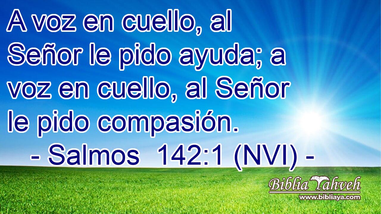  A voz en cuello, al Señor le pido ayuda; a voz en cuello, al Señor le pido compasión. 