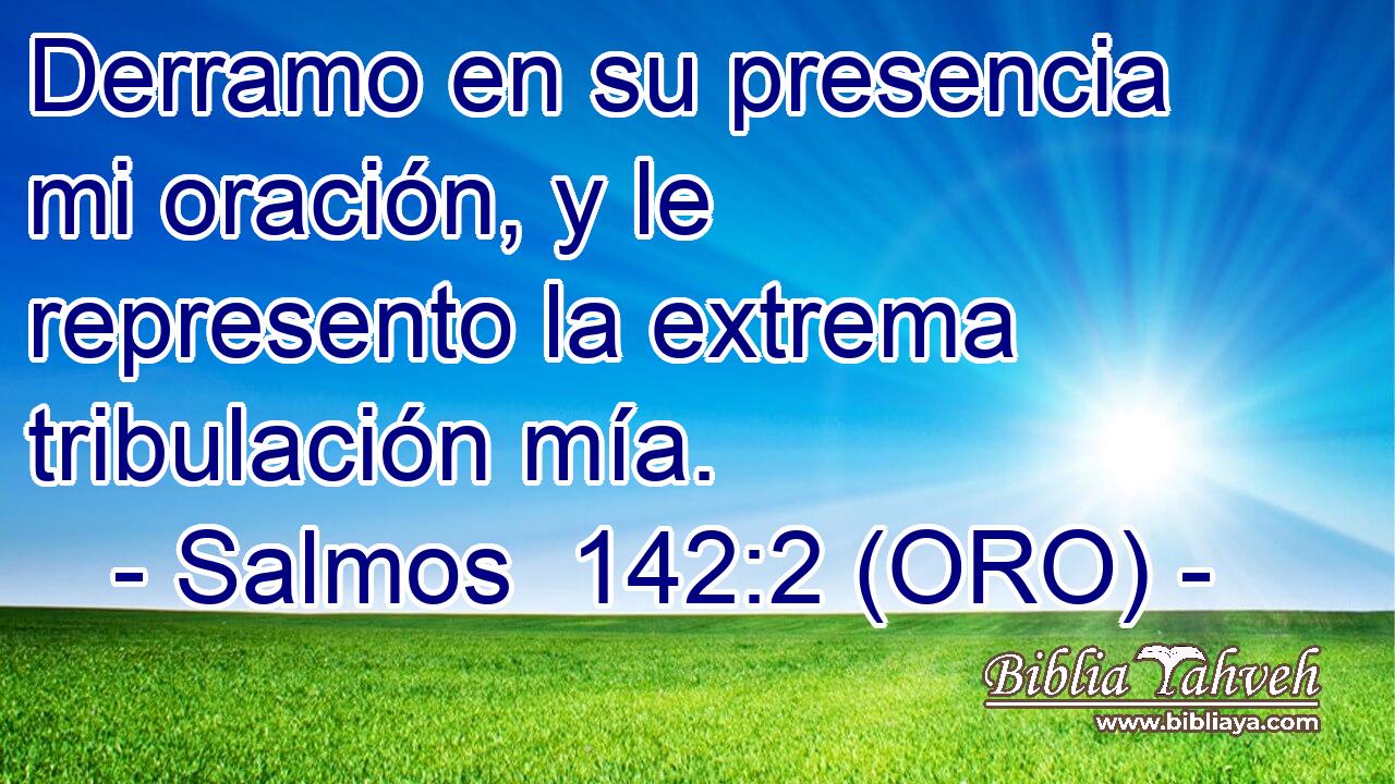  Derramo en su presencia mi oración, y le represento la extrema tribulación mía. 