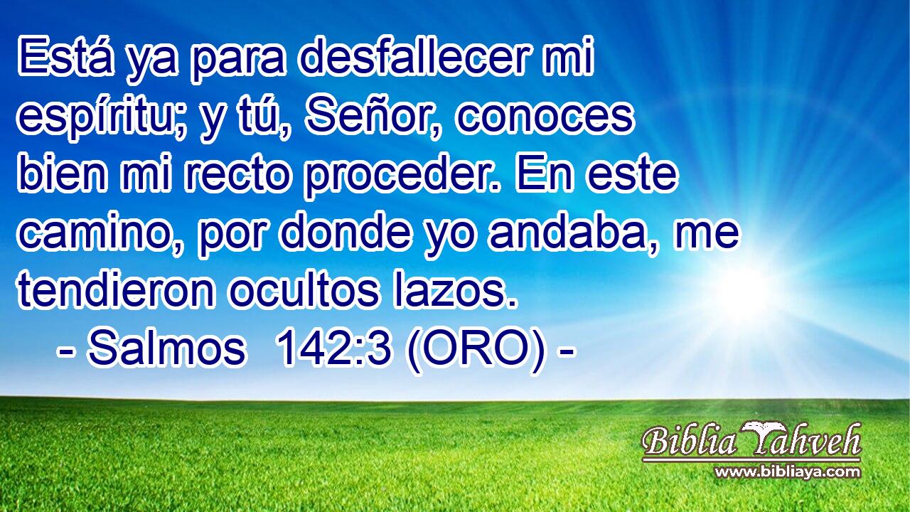  Está ya para desfallecer mi espíritu; y tú, Señor, conoces bien mi recto proceder. En este camino, por donde yo andaba, me tendieron ocultos lazos. 