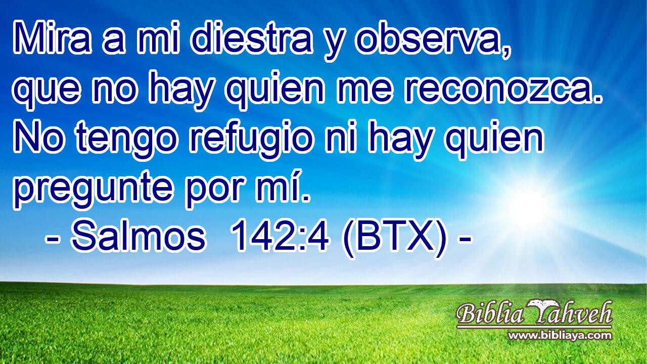 Mira a mi diestra y observa, que no hay quien me reconozca. No tengo refugio ni hay quien pregunte por mí.