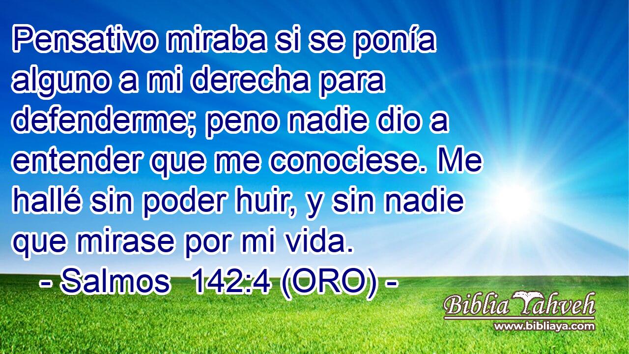  Pensativo miraba si se ponía alguno a mi derecha para defenderme; peno nadie dio a entender que me conociese. Me hallé sin poder huir, y sin nadie que mirase por mi vida. 