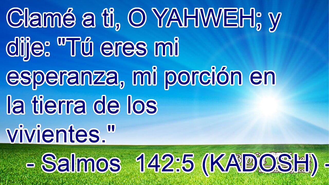  Clamé a ti, O YAHWEH; y dije: 