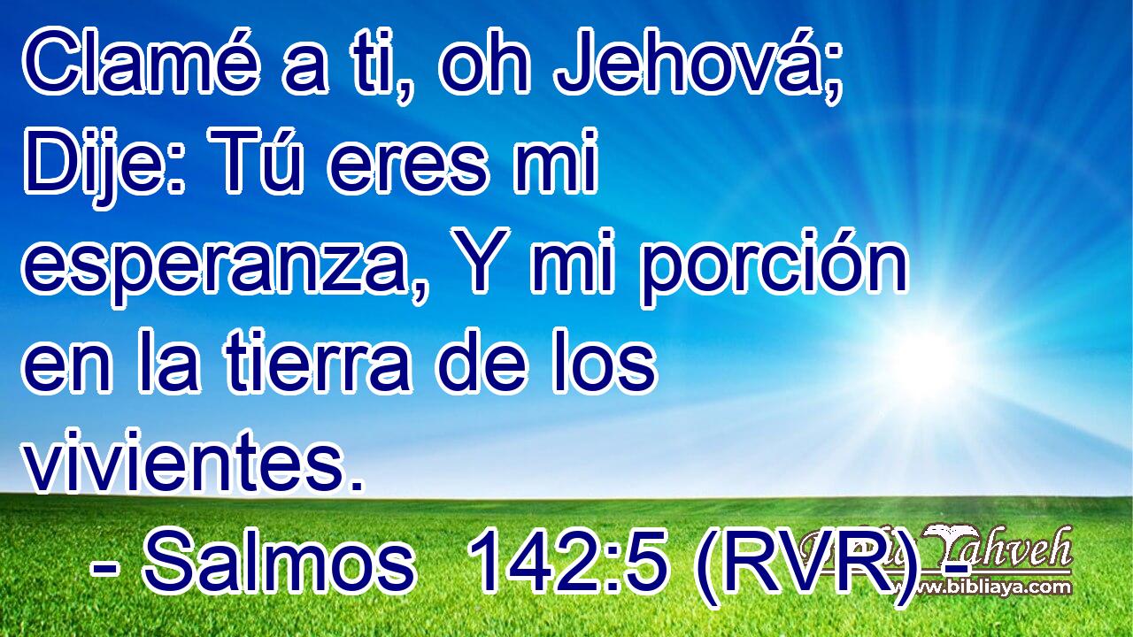 Clamé a ti, oh Jehová; Dije: Tú eres mi esperanza, Y mi porción en la tierra de los vivientes.