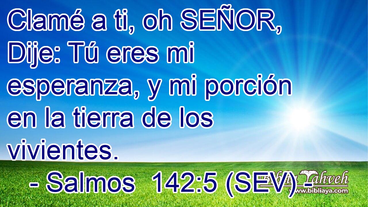 Clamé a ti, oh SEÑOR, Dije: Tú eres mi esperanza, y mi porción en la tierra de los vivientes.