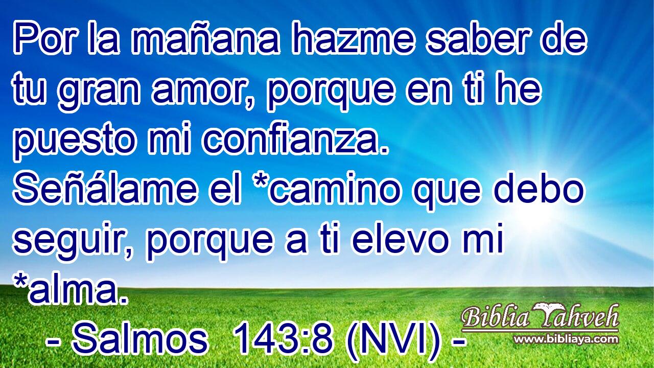  Por la mañana hazme saber de tu gran amor, porque en ti he puesto mi confianza. Señálame el *camino que debo seguir, porque a ti elevo mi *alma. 