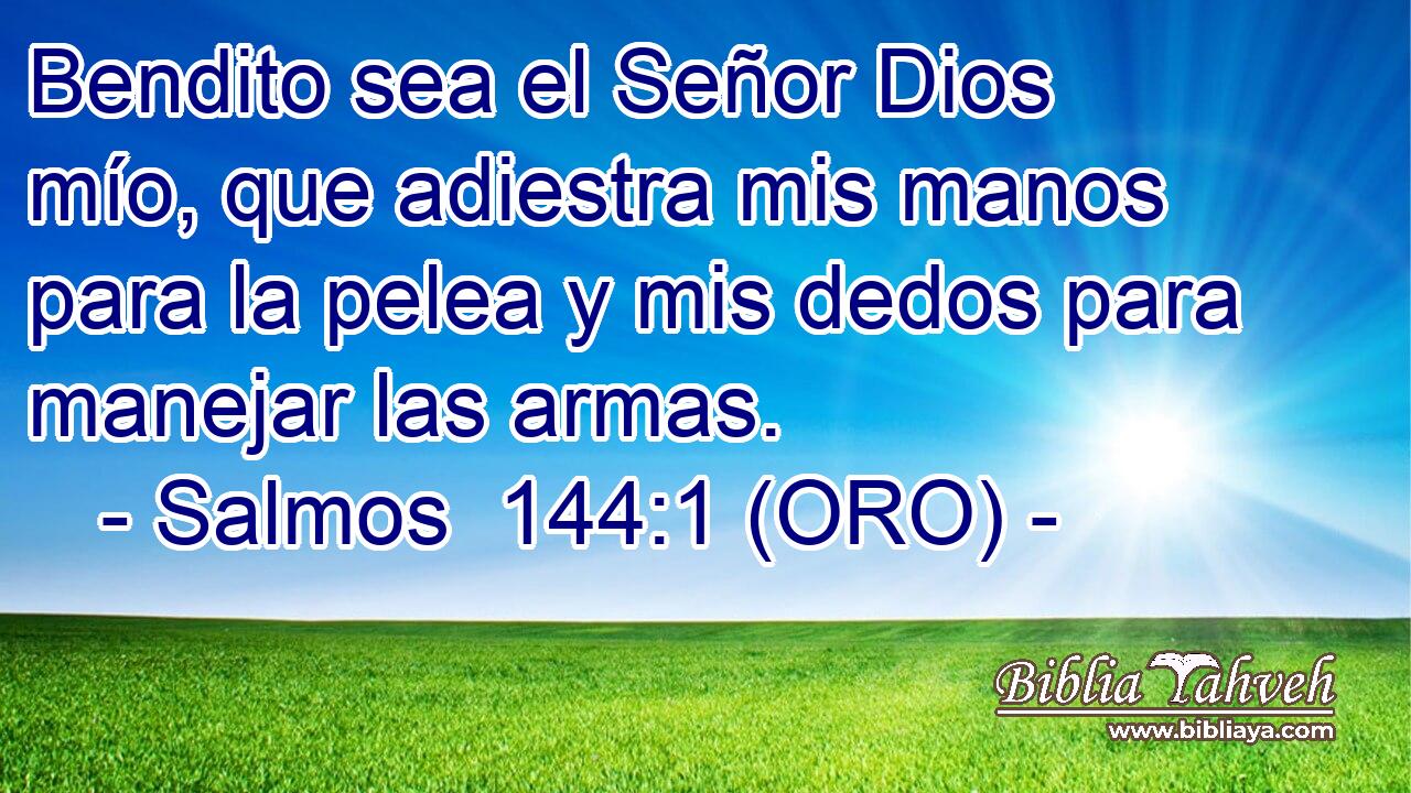  Bendito sea el Señor Dios mío, que adiestra mis manos para la pelea y mis dedos para manejar las armas. 