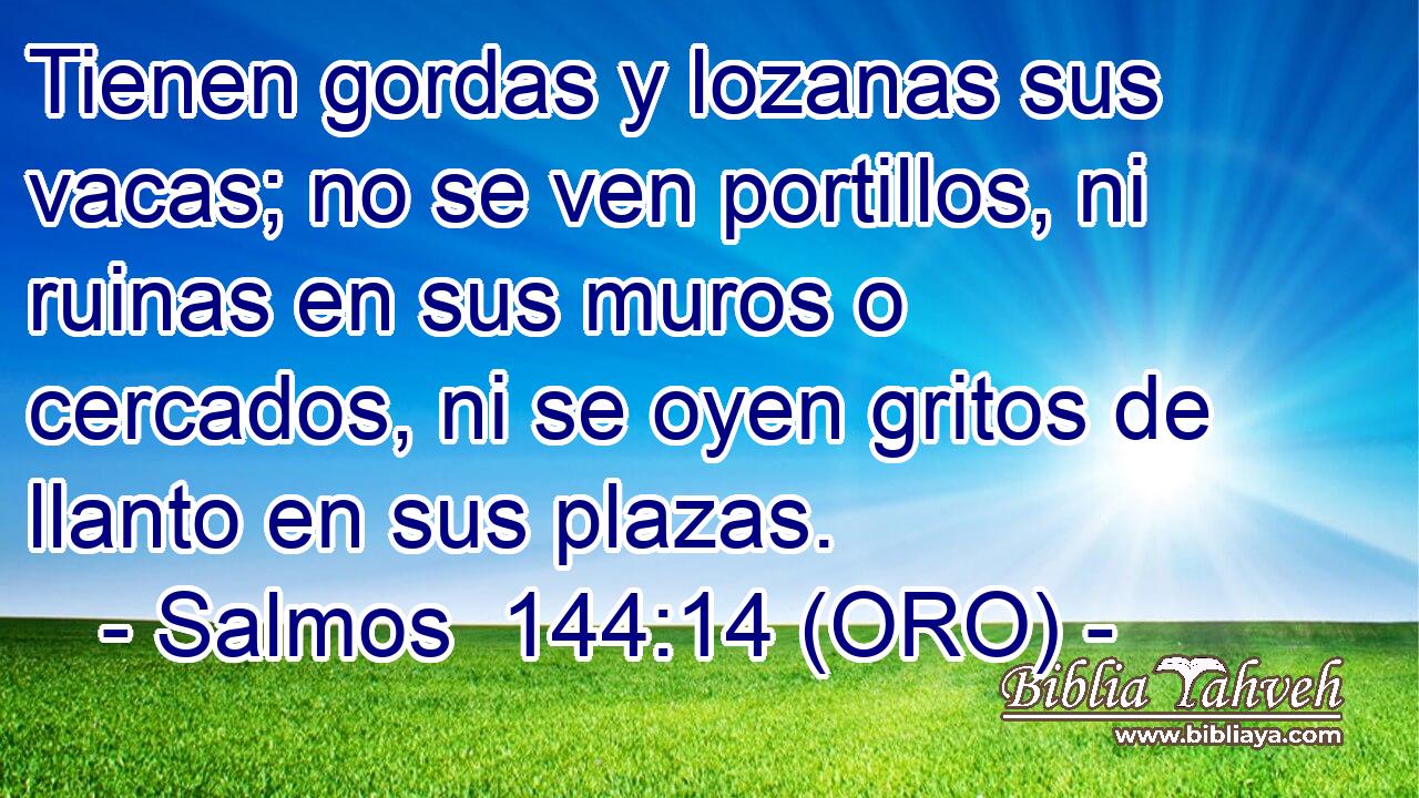  Tienen gordas y lozanas sus vacas; no se ven portillos, ni ruinas en sus muros o cercados, ni se oyen gritos de llanto en sus plazas. 