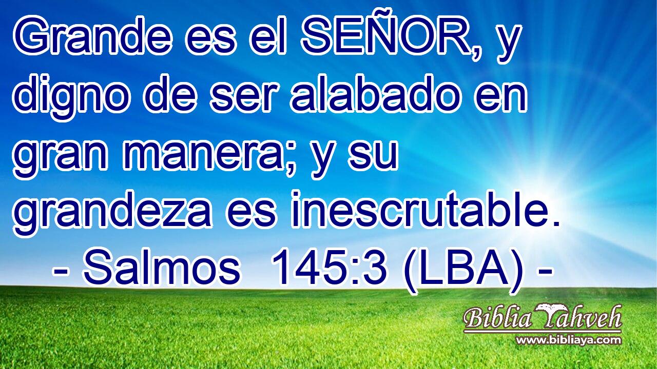 Grande es el SEÑOR, y digno de ser alabado en gran manera; y su grandeza es inescrutable.