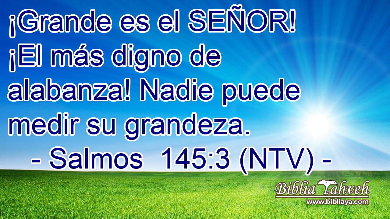 ¡Grande es el SEÑOR! ¡El más digno de alabanza! Nadie puede medir su grandeza.