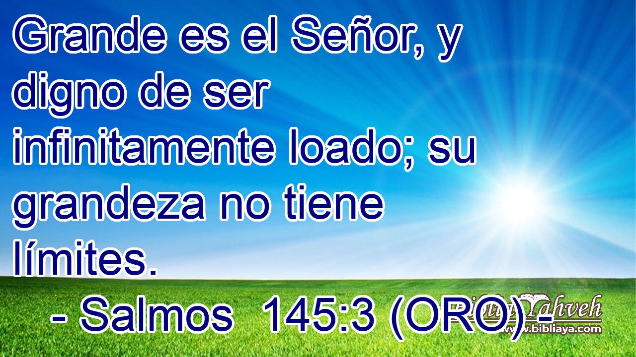  Grande es el Señor, y digno de ser infinitamente loado; su grandeza no tiene límites. 