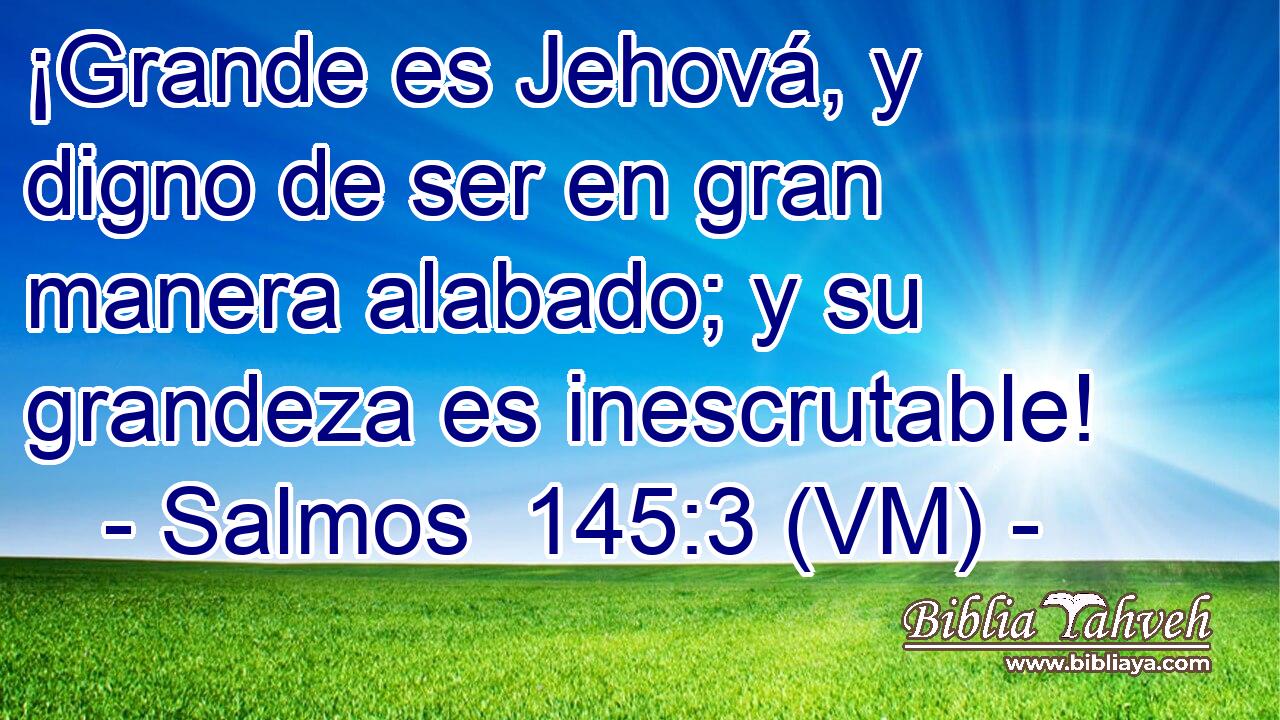  ¡Grande es Jehová, y digno de ser en gran manera alabado; y su grandeza es inescrutable! 