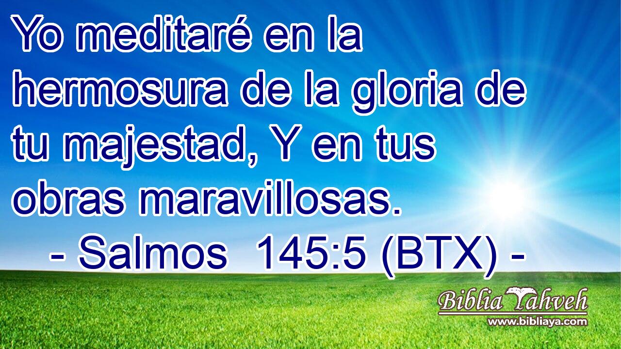 Yo meditaré en la hermosura de la gloria de tu majestad, Y en tus obras maravillosas.