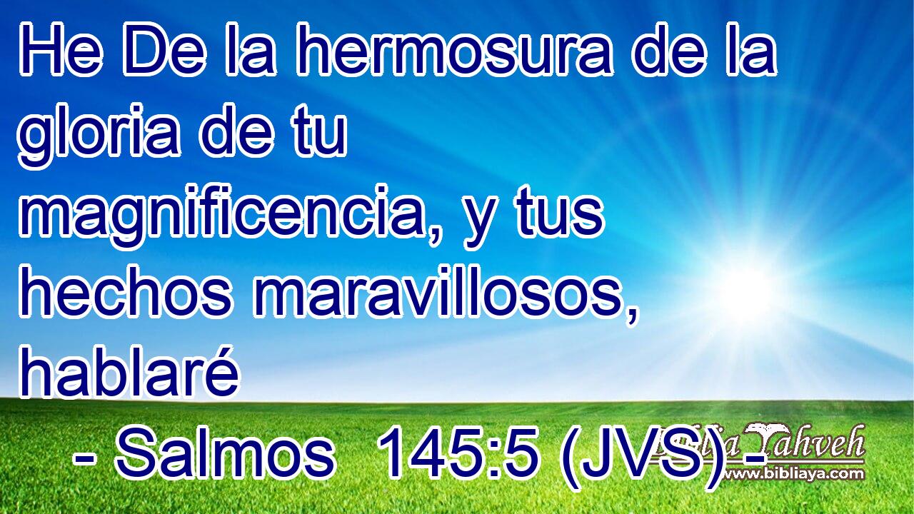 He De la hermosura de la gloria de tu magnificencia, y tus hechos maravillosos, hablaré
