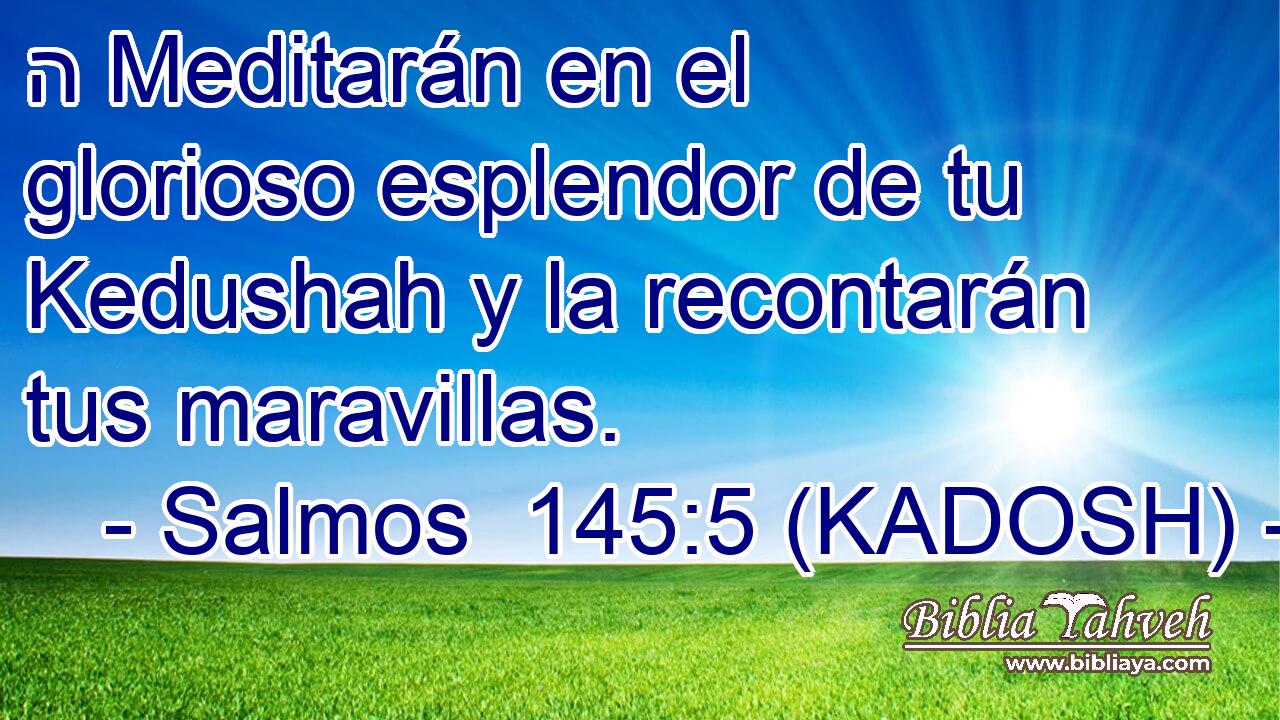  ה Meditarán en el glorioso esplendor de tu Kedushah y la recontarán tus maravillas. 