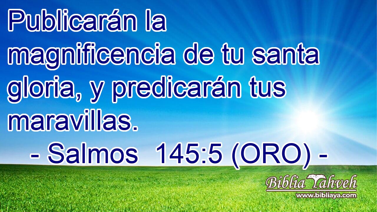  Publicarán la magnificencia de tu santa gloria, y predicarán tus maravillas. 
