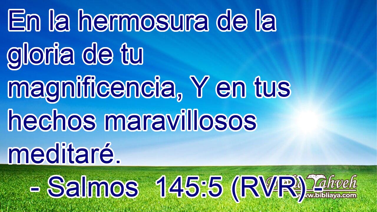 En la hermosura de la gloria de tu magnificencia, Y en tus hechos maravillosos meditaré.