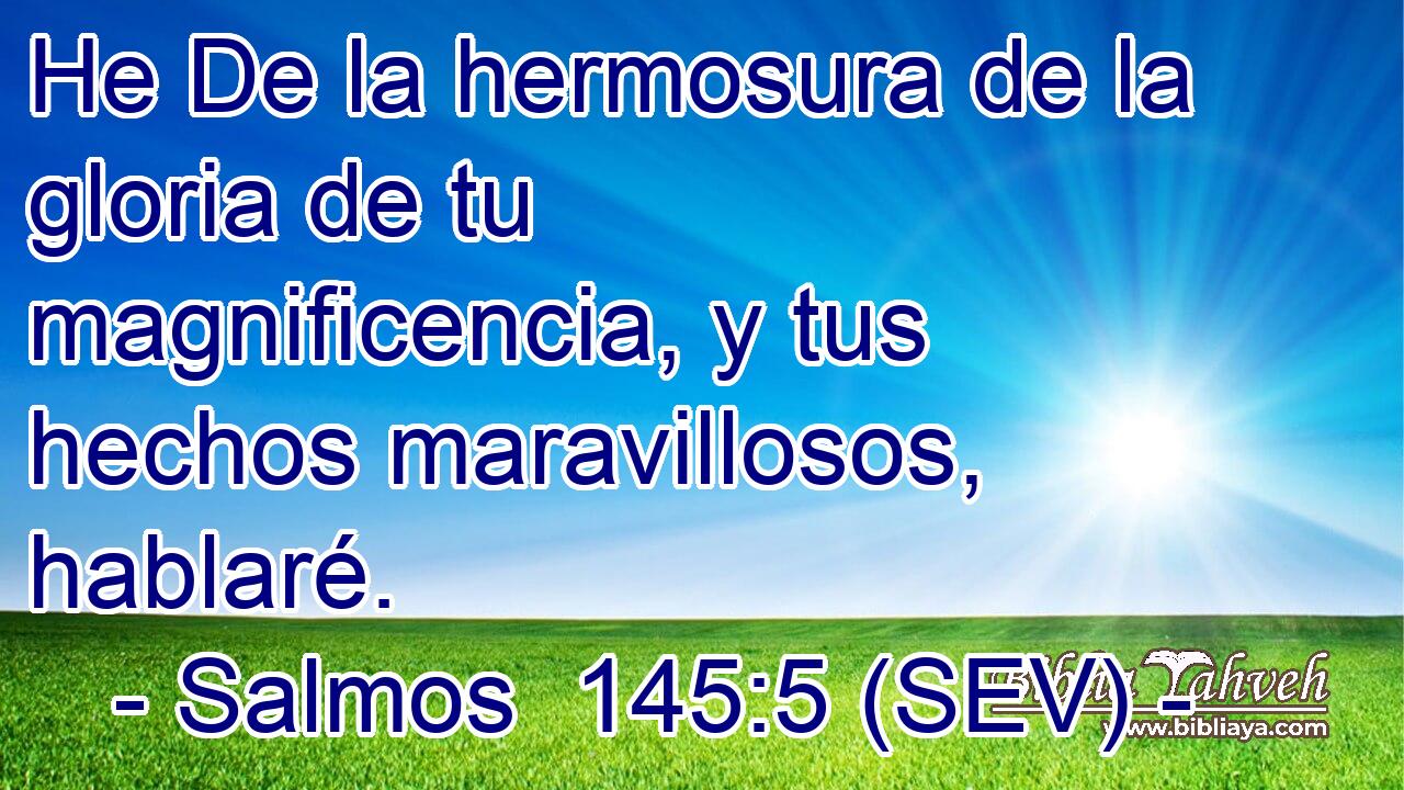 He De la hermosura de la gloria de tu magnificencia, y tus hechos maravillosos, hablaré.