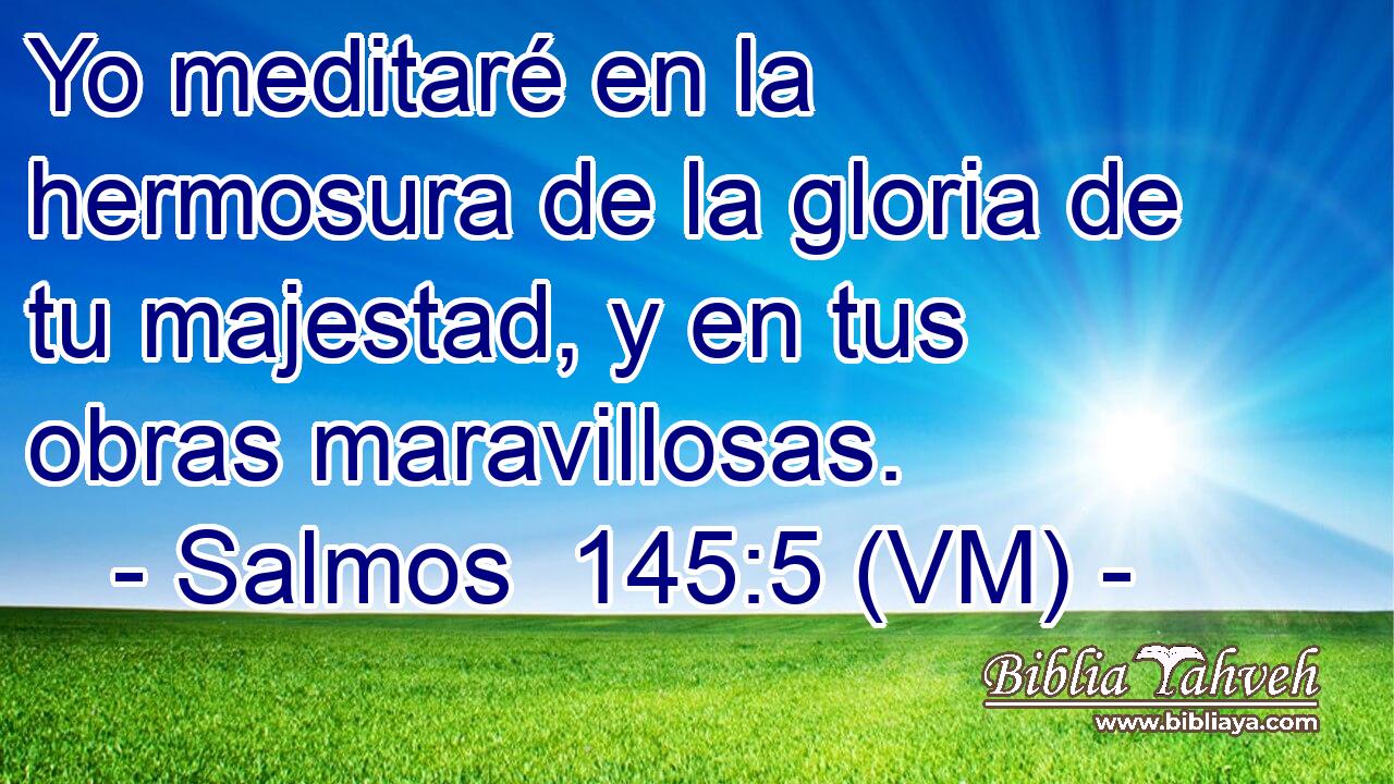  Yo meditaré en la hermosura de la gloria de tu majestad, y en tus obras maravillosas. 