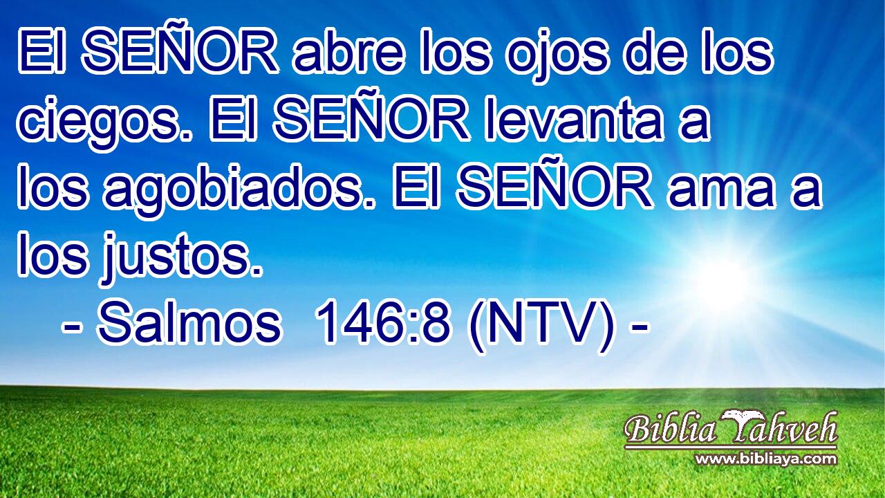 El SEÑOR abre los ojos de los ciegos. El SEÑOR levanta a los agobiados. El SEÑOR ama a los justos.