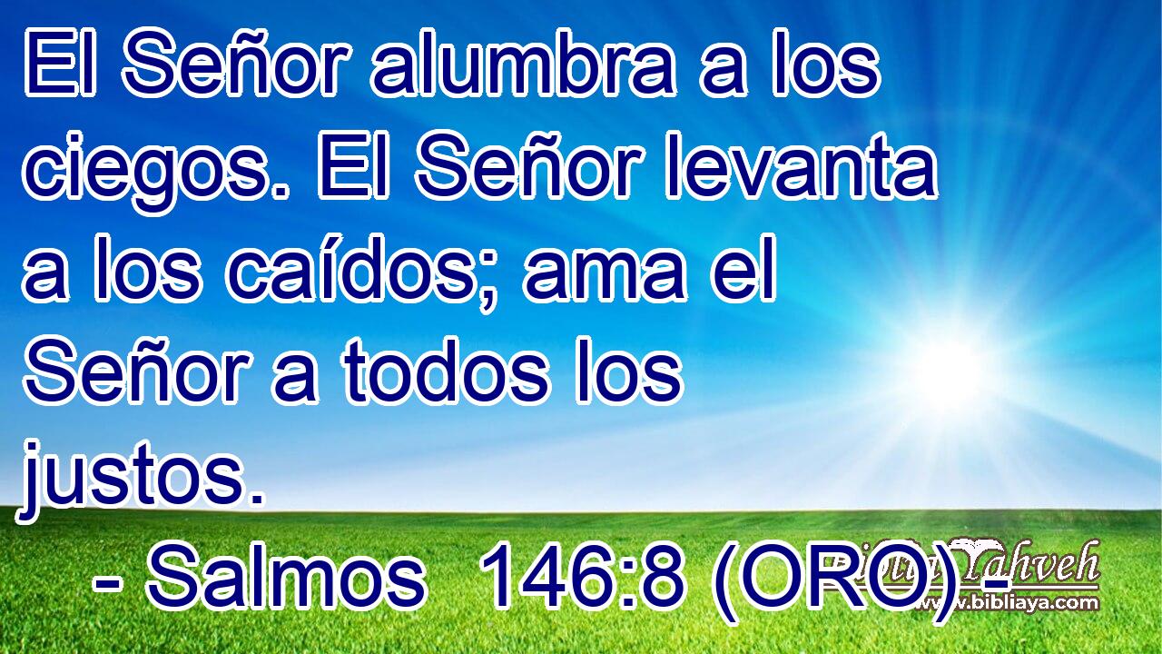  El Señor alumbra a los ciegos. El Señor levanta a los caídos; ama el Señor a todos los justos. 