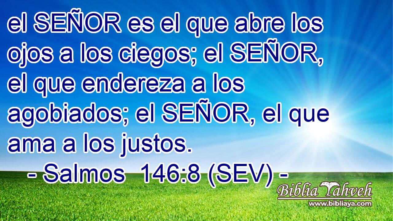el SEÑOR es el que abre los ojos a los ciegos; el SEÑOR, el que endereza a los agobiados; el SEÑOR, el que ama a los justos.