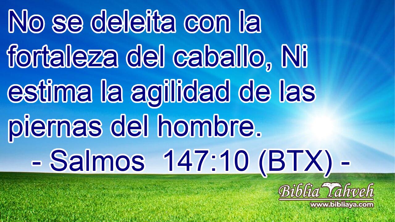 No se deleita con la fortaleza del caballo, Ni estima la agilidad de las piernas del hombre.