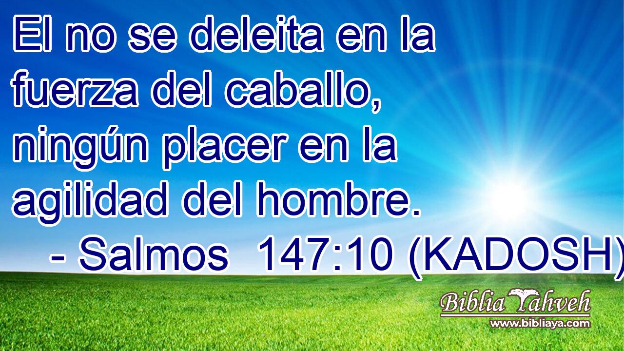  El no se deleita en la fuerza del caballo, ningún placer en la agilidad del hombre. 