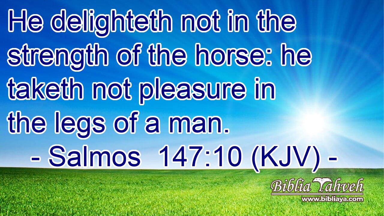 He delighteth not in the strength of the horse: he taketh not pleasure in the legs of a man.