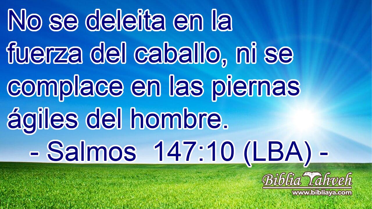 No se deleita en la fuerza del caballo, ni se complace en las piernas ágiles del hombre.
