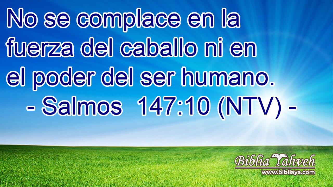 No se complace en la fuerza del caballo ni en el poder del ser humano.