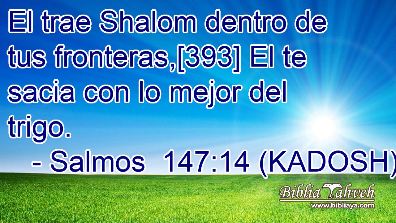  El trae Shalom dentro de tus fronteras,[393] El te sacia con lo mejor del trigo. 