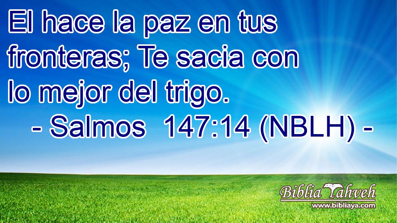  El hace la paz en tus fronteras; Te sacia con lo mejor del trigo. 