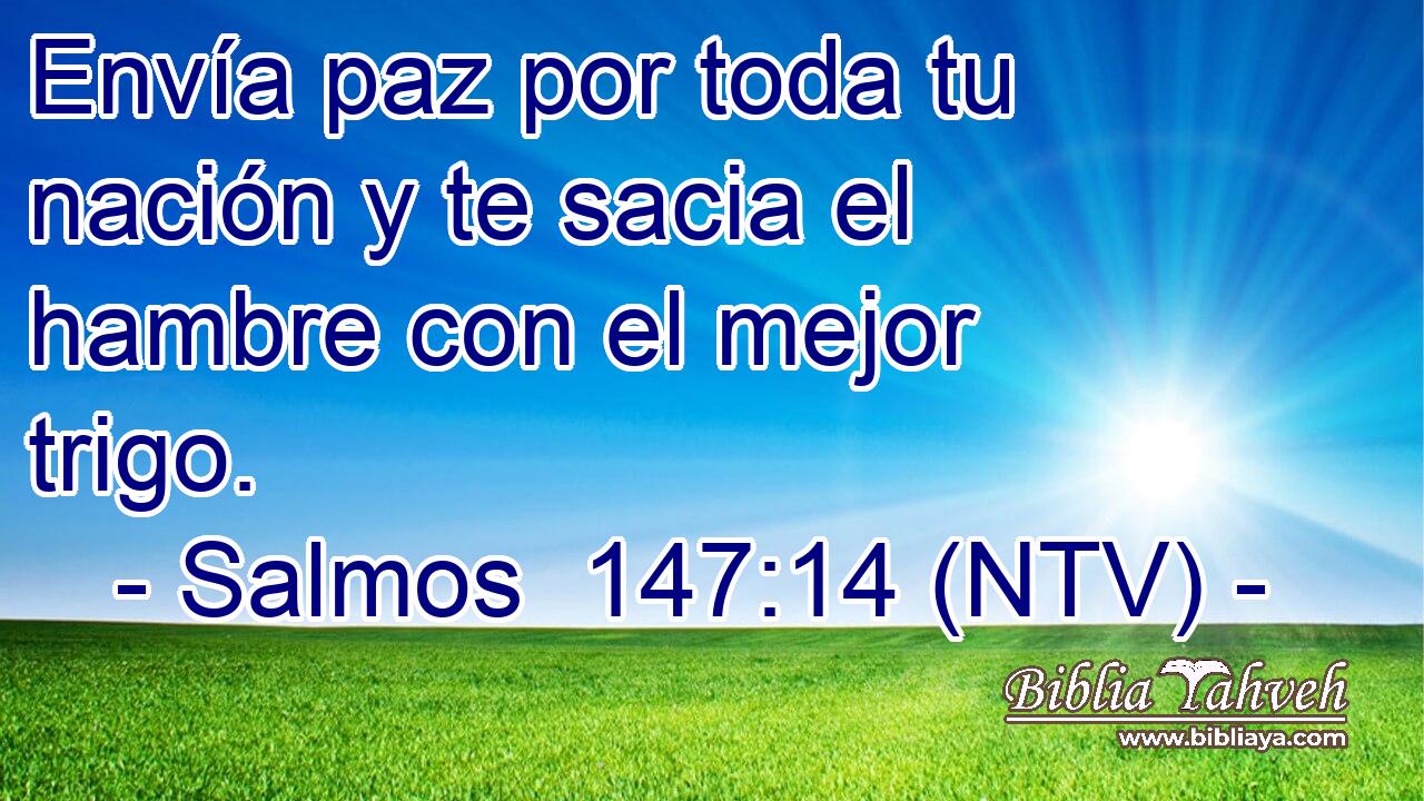 Envía paz por toda tu nación y te sacia el hambre con el mejor trigo.
