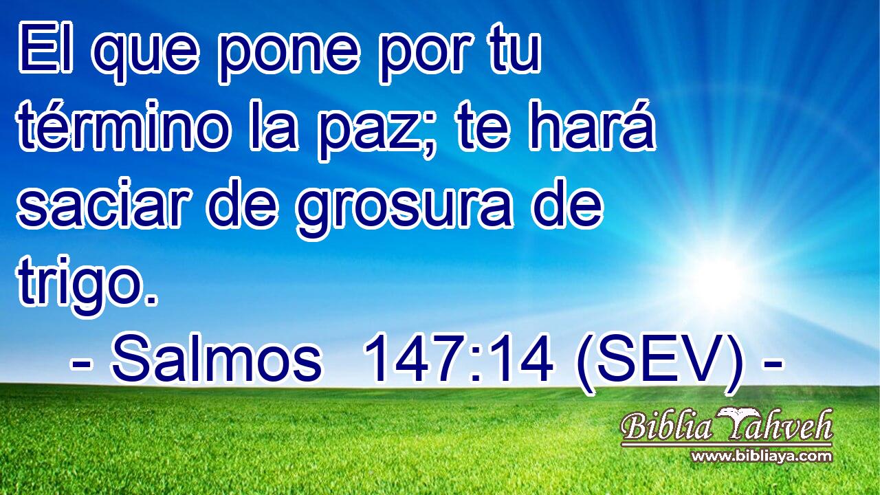 El que pone por tu término la paz; te hará saciar de grosura de trigo.