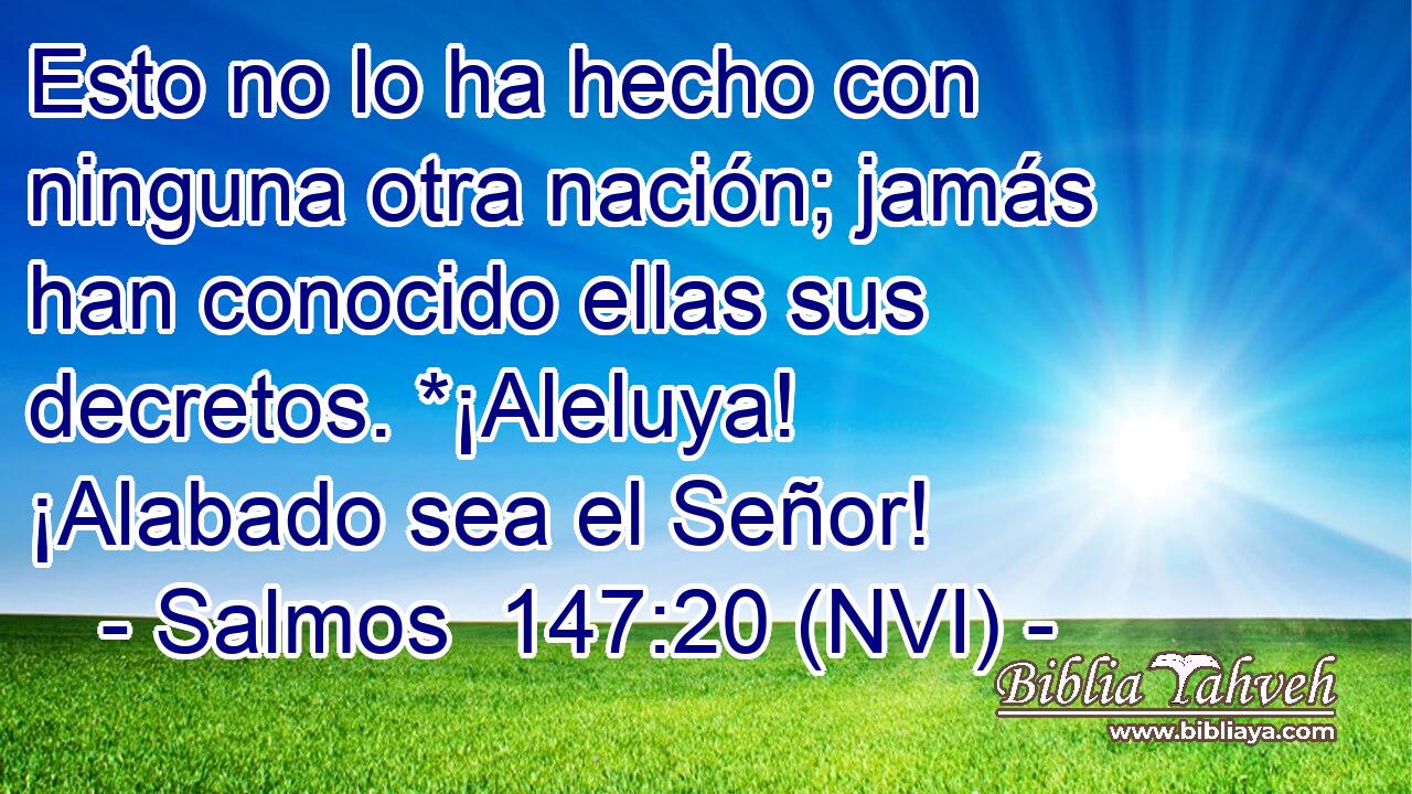  Esto no lo ha hecho con ninguna otra nación; jamás han conocido ellas sus decretos. *¡Aleluya! ¡Alabado sea el Señor! 