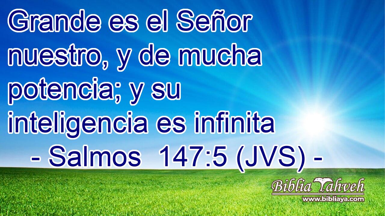 Grande es el Señor nuestro, y de mucha potencia; y su inteligencia es infinita