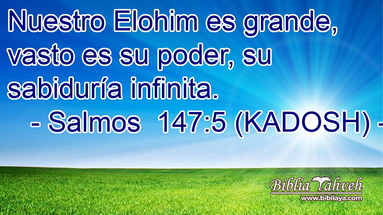  Nuestro Elohim es grande, vasto es su poder, su sabiduría infinita. 