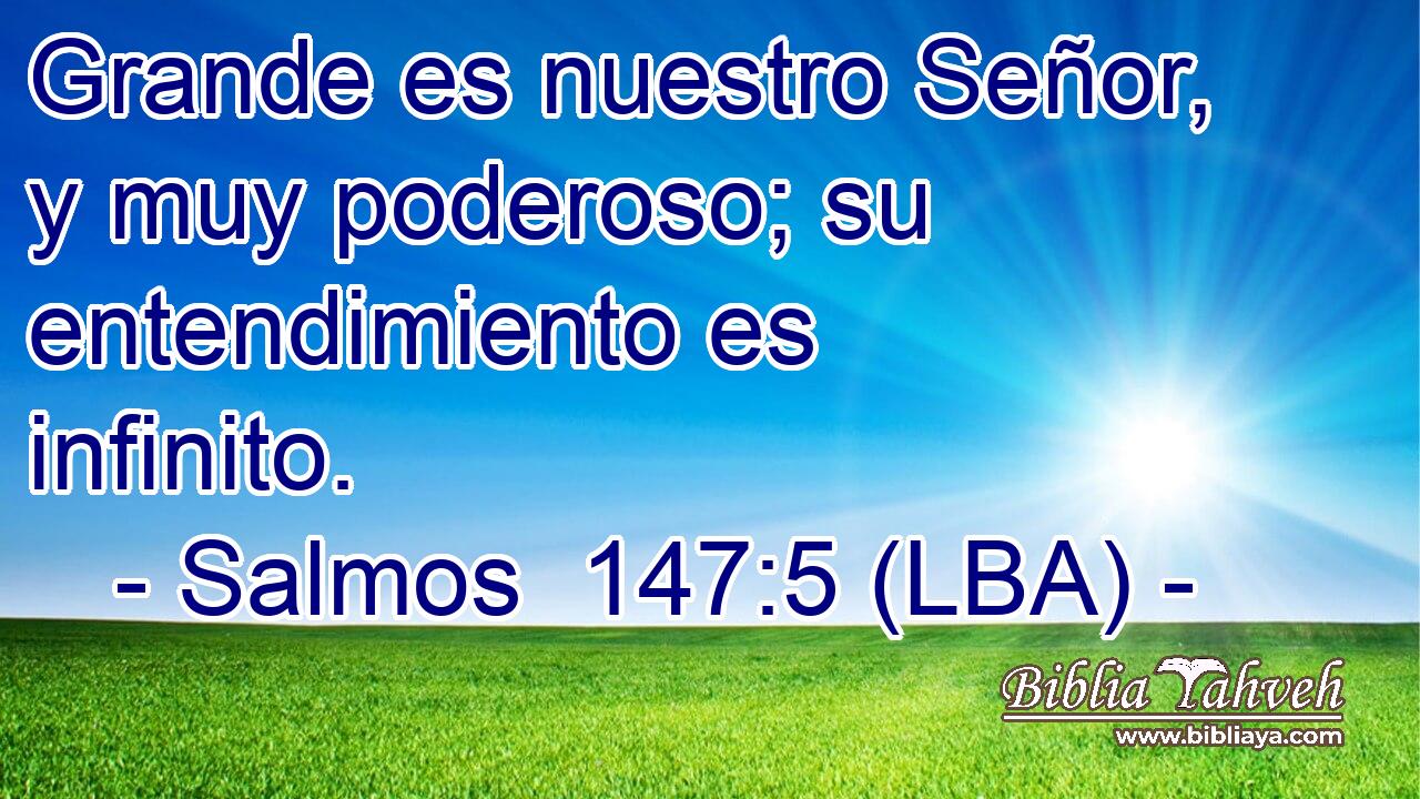 Grande es nuestro Señor, y muy poderoso; su entendimiento es infinito.