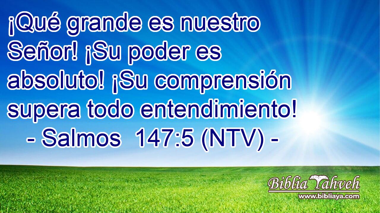 ¡Qué grande es nuestro Señor! ¡Su poder es absoluto! ¡Su comprensión supera todo entendimiento!