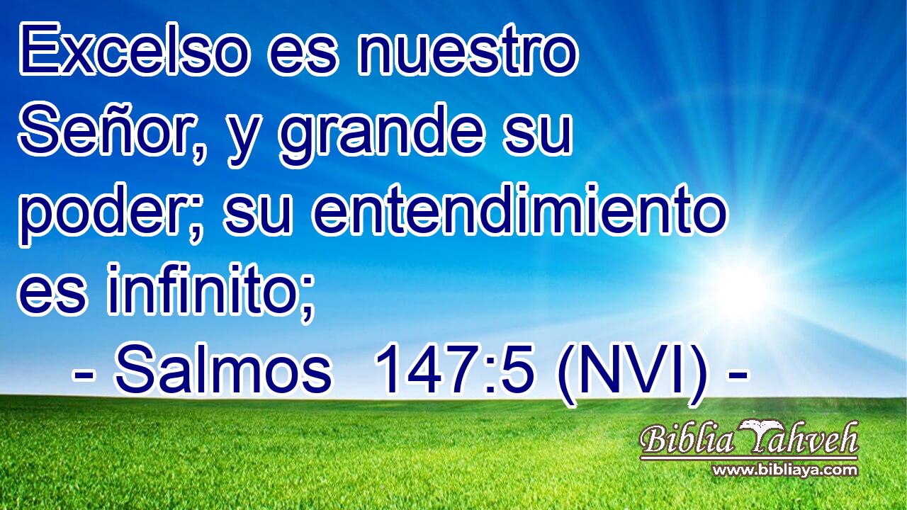  Excelso es nuestro Señor, y grande su poder; su entendimiento es infinito; 