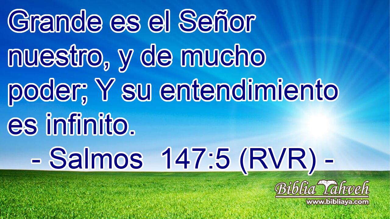 Grande es el Señor nuestro, y de mucho poder; Y su entendimiento es infinito.