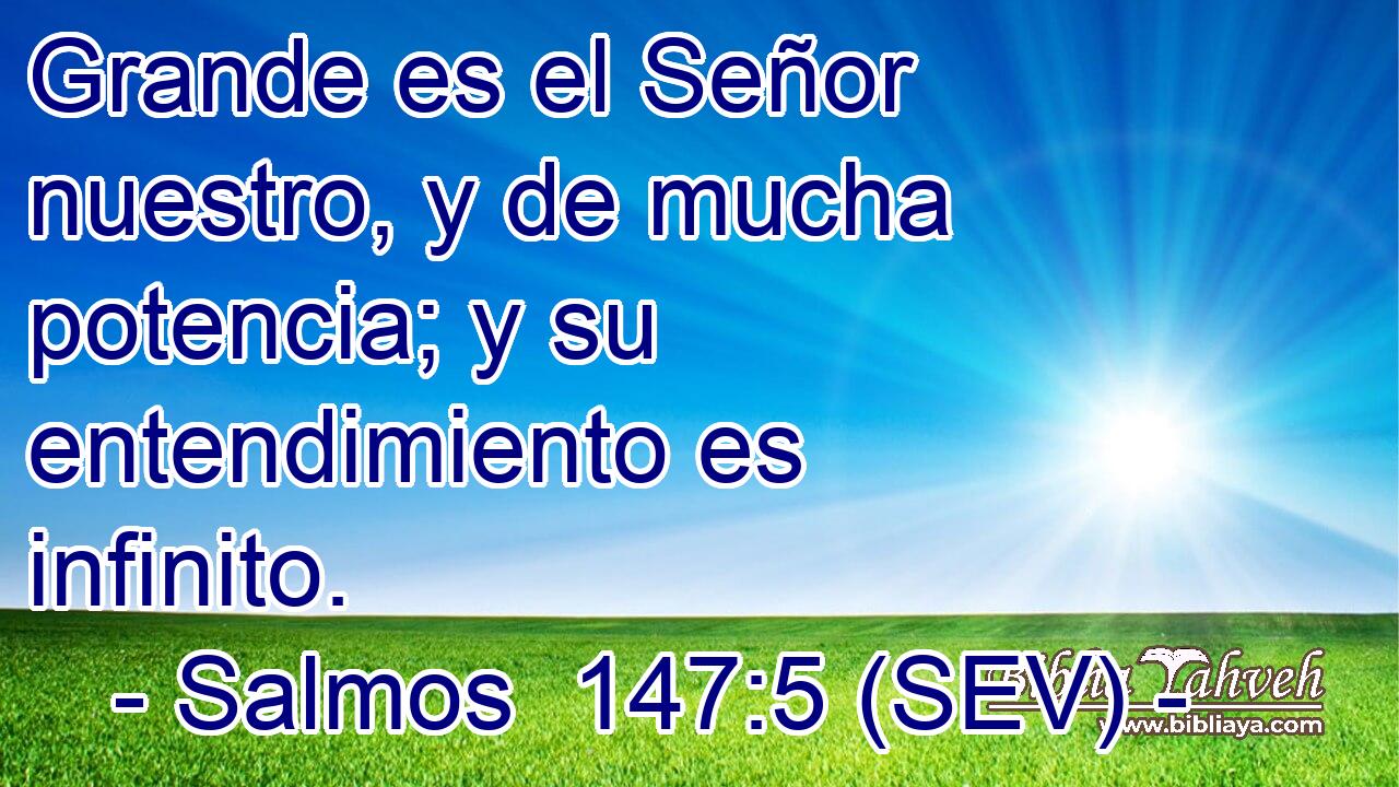 Grande es el Señor nuestro, y de mucha potencia; y su entendimiento es infinito.