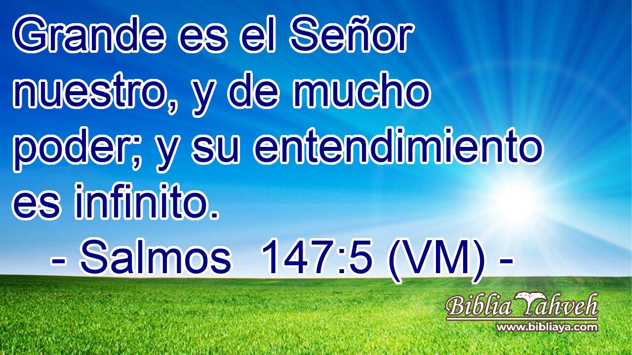  Grande es el Señor nuestro, y de mucho poder; y su entendimiento es infinito. 