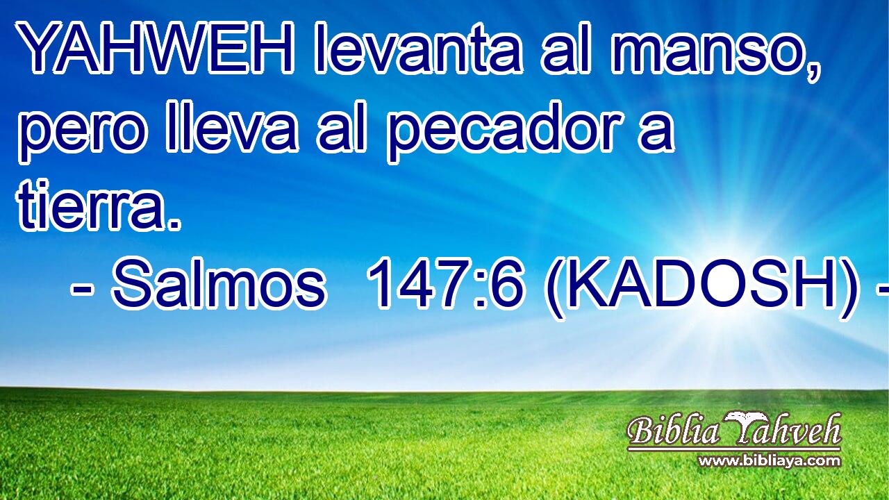  YAHWEH levanta al manso, pero lleva al pecador a tierra. 
