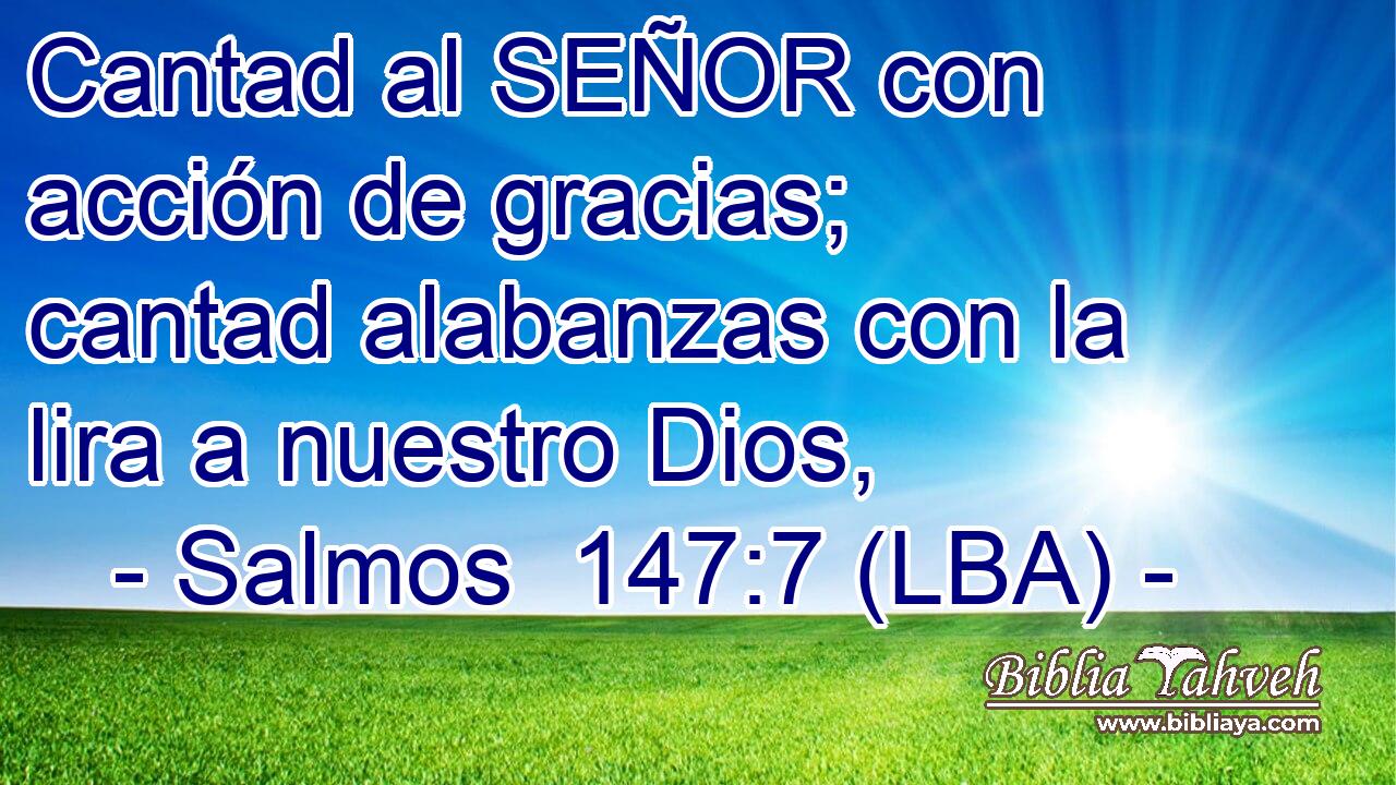 Cantad al SEÑOR con acción de gracias; cantad alabanzas con la lira a nuestro Dios,