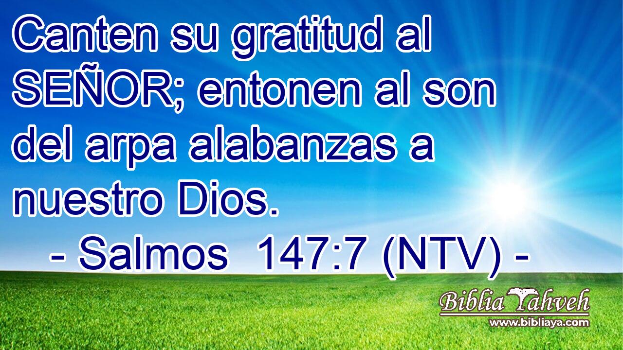 Canten su gratitud al SEÑOR; entonen al son del arpa alabanzas a nuestro Dios.